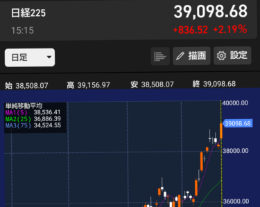 【投資日記】日経平均最高値更新！！！近いうちに４００００円超えは行けると予想！